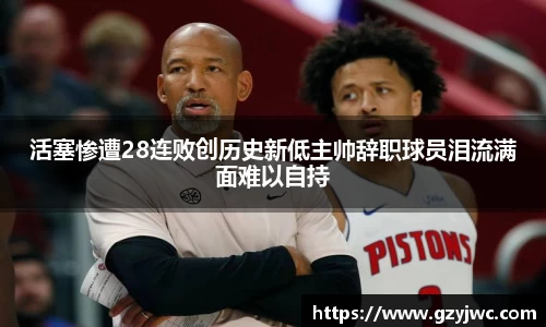 多多28