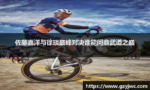 多多28平台